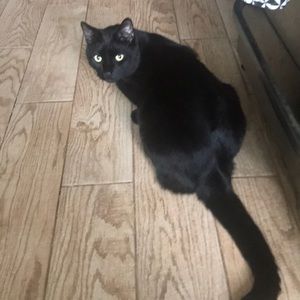 Meet your Posher, Scott